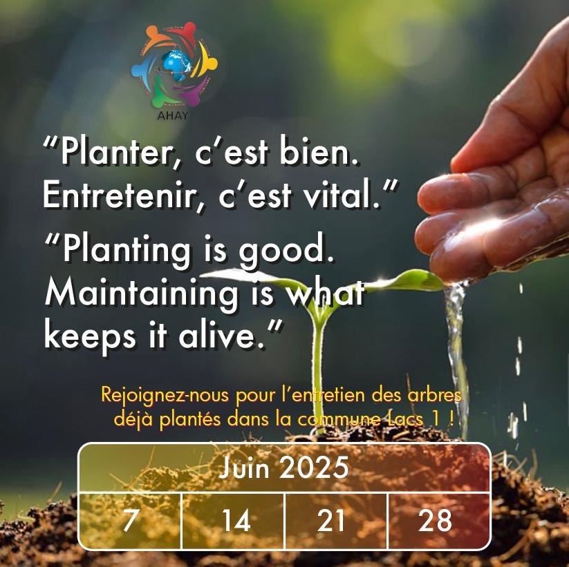 Journée Nationale de l’Arbre : avec AHAY cette année, c’est autrement !